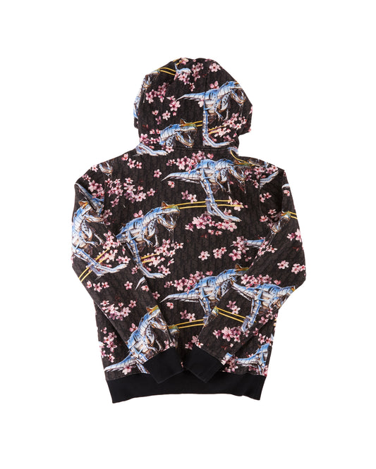 Christian Dior Hoodie