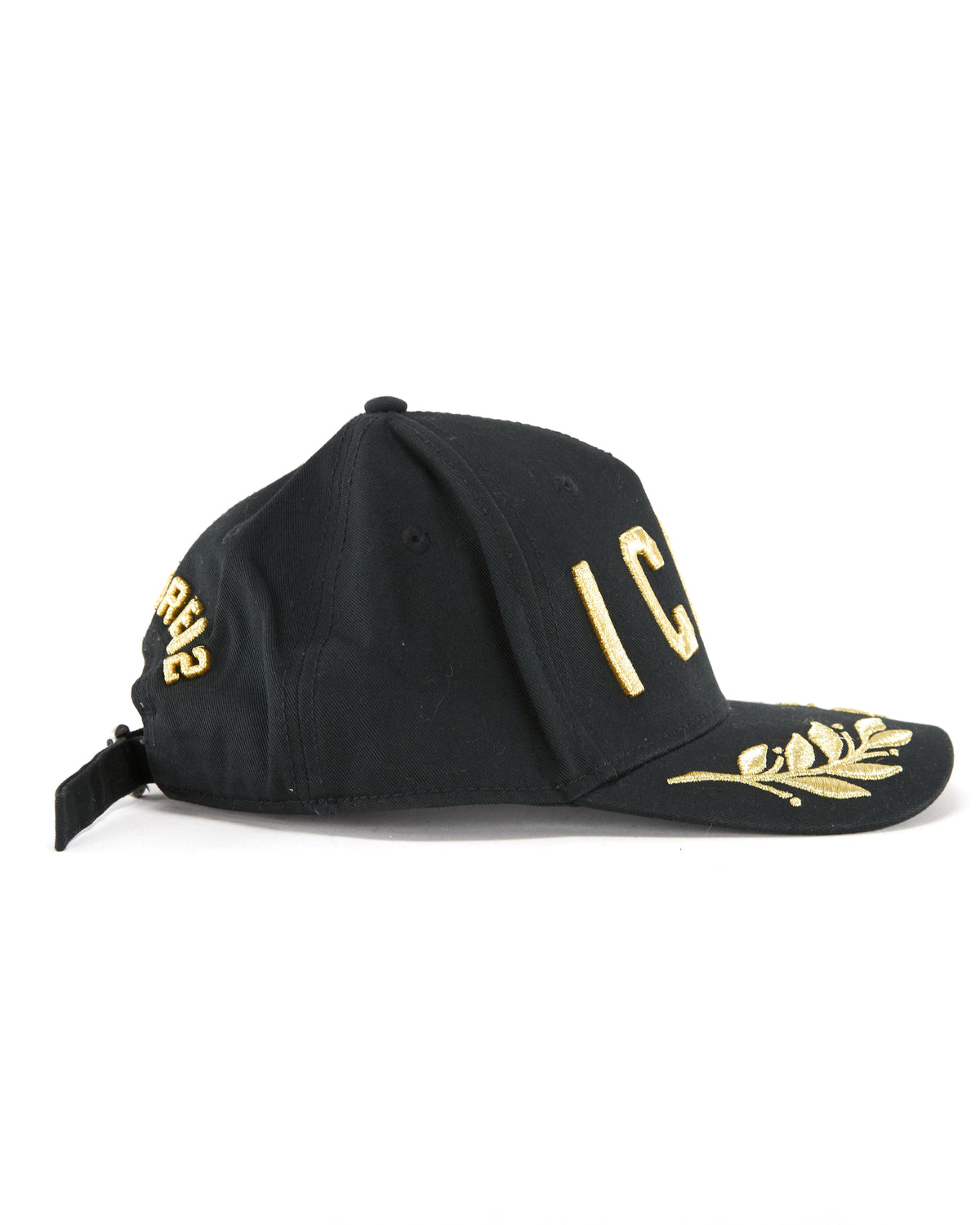 D2squared Icon Cap