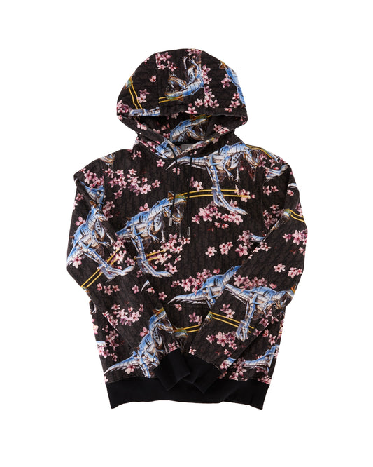 Christian Dior Hoodie